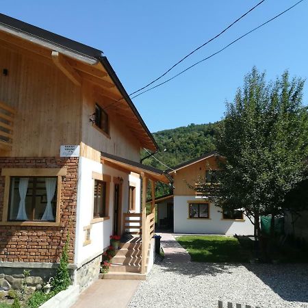 Guest House Carpathia Vişeu de Sus Eksteriør billede