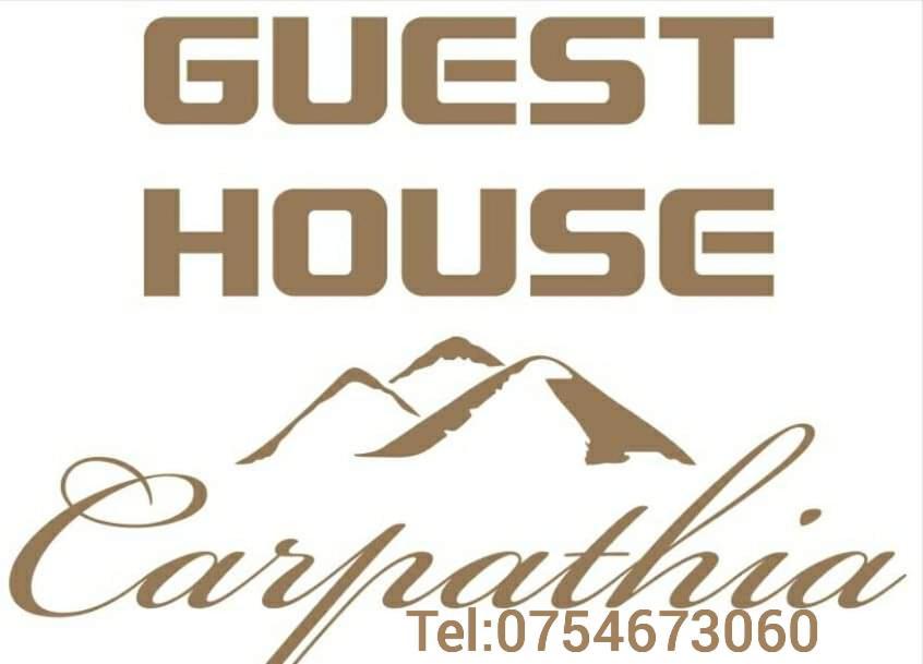 Guest House Carpathia Vişeu de Sus Eksteriør billede