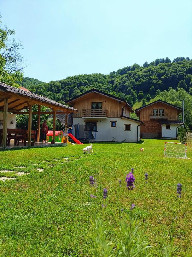 Guest House Carpathia Vişeu de Sus Eksteriør billede