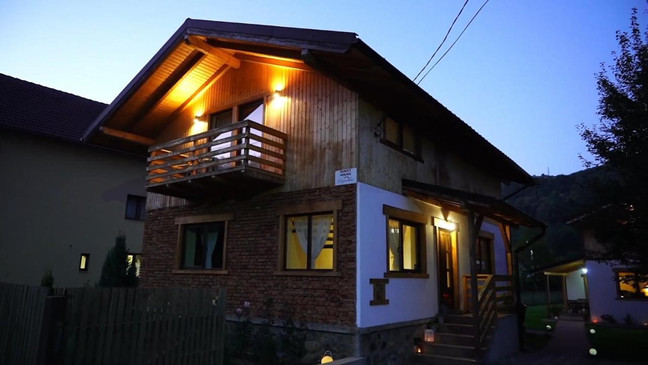 Guest House Carpathia Vişeu de Sus Eksteriør billede