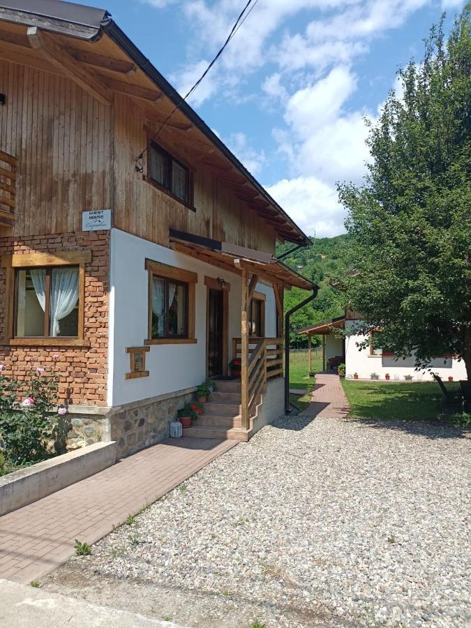 Guest House Carpathia Vişeu de Sus Eksteriør billede