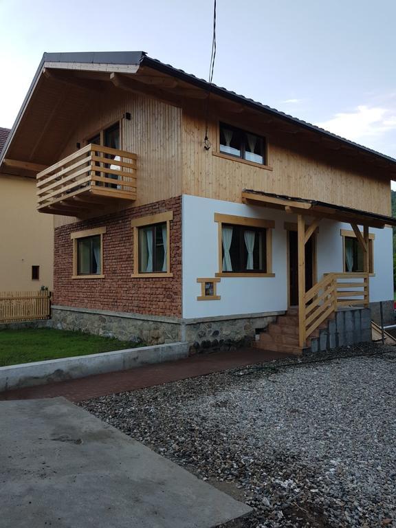 Guest House Carpathia Vişeu de Sus Eksteriør billede