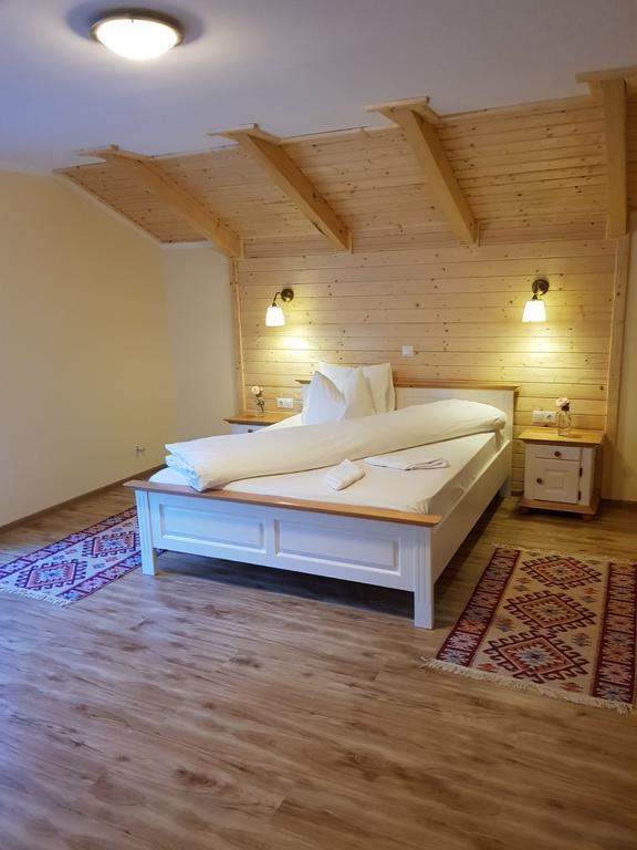 Guest House Carpathia Vişeu de Sus Eksteriør billede