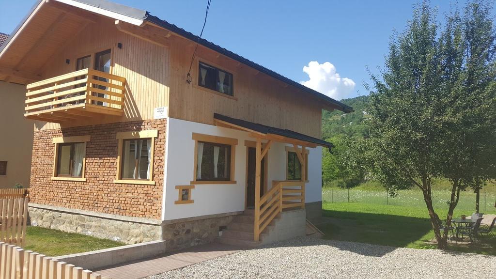 Guest House Carpathia Vişeu de Sus Eksteriør billede