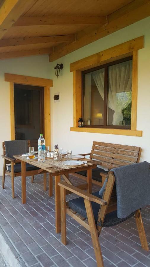 Guest House Carpathia Vişeu de Sus Eksteriør billede