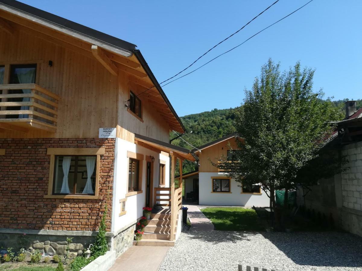 Guest House Carpathia Vişeu de Sus Eksteriør billede