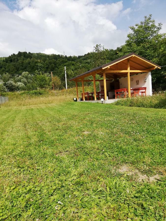 Guest House Carpathia Vişeu de Sus Eksteriør billede